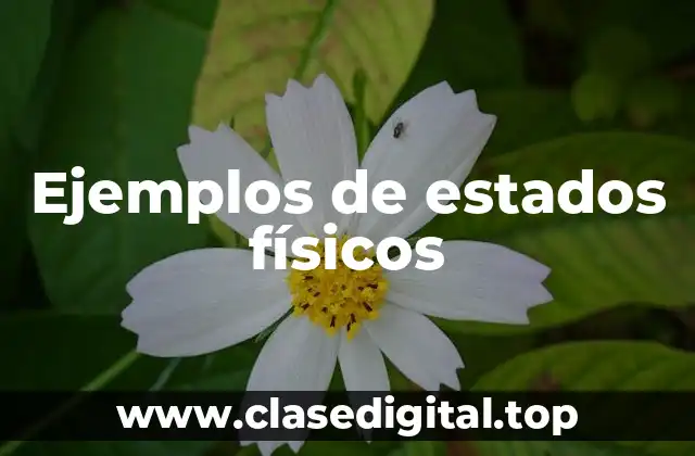 Ejemplos de estados físicos