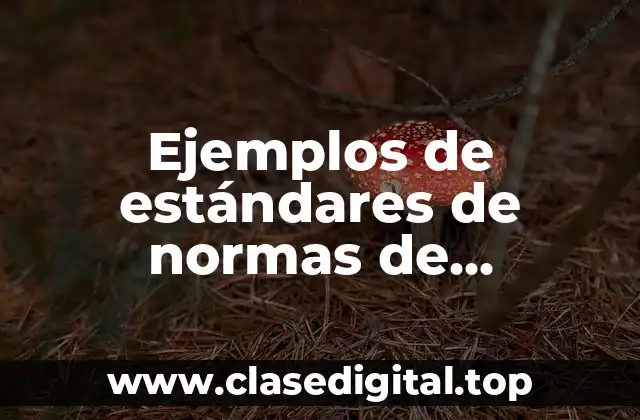 Ejemplos de estándares de normas de competencia laboral afanador y Significado