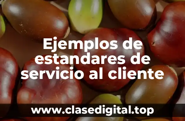 Ejemplos de estandares de servicio al cliente