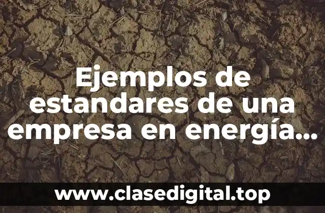 Ejemplos de estandares de una empresa en energía térmica