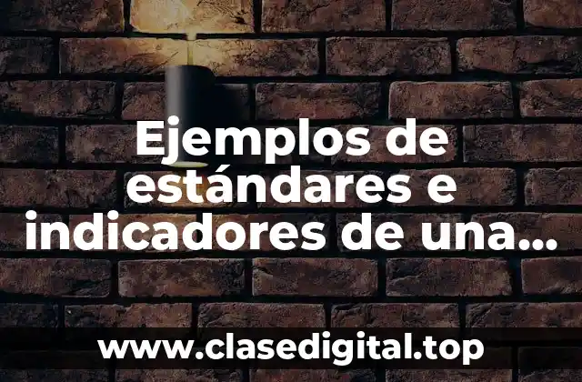 Ejemplos de estándares e indicadores de una empresa y Significado