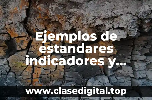 Ejemplos de estandares indicadores y parametors de control