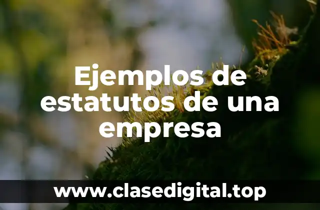 Ejemplos de estatutos de una empresa
