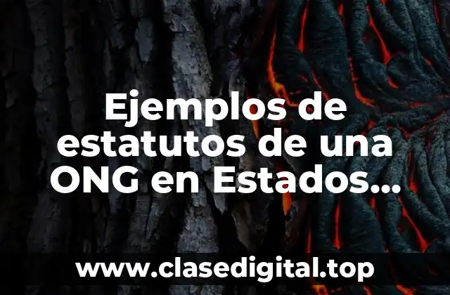 Ejemplos de estatutos de una ONG en Estados Unidos