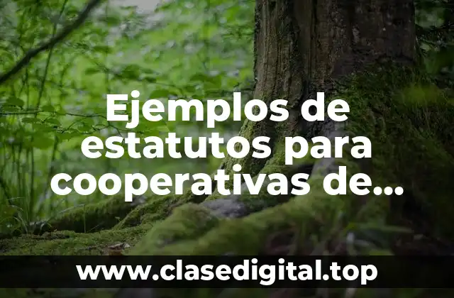 Ejemplos de estatutos para cooperativas de producción en México