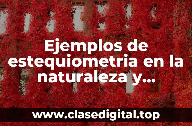 Ejemplos de estequiometria en la naturaleza y Significado