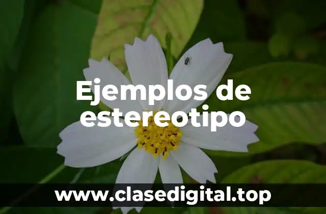 Ejemplos de estereotipo