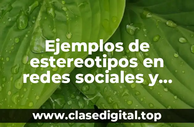 Ejemplos de estereotipos en redes sociales y Significado