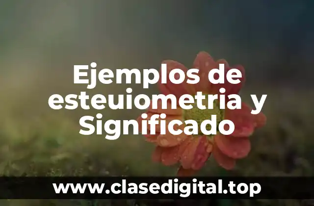 Ejemplos de esteuiometria y Significado