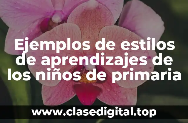 Ejemplos de estilos de aprendizajes de los niños de primaria