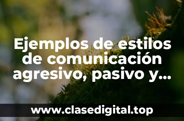 Ejemplos de estilos de comunicación agresivo, pasivo y activo