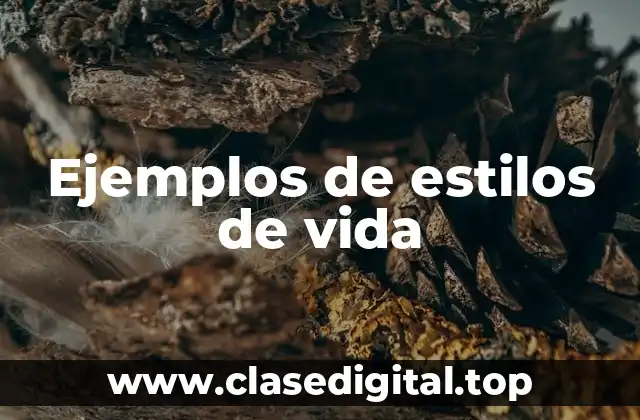 Ejemplos de estilos de vida