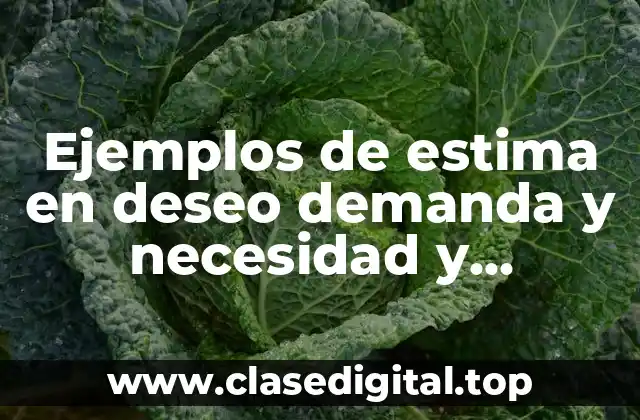 Ejemplos de estima en deseo demanda y necesidad y Significado