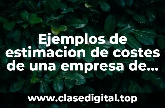 Ejemplos de estimacion de costes de una empresa de software