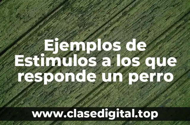 Ejemplos de Estimulos a los que responde un perro