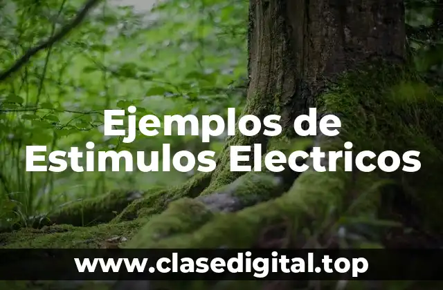 Ejemplos de Estimulos Electricos