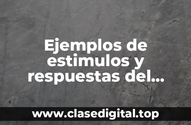Ejemplos de estimulos y respuestas del cuerpo humano