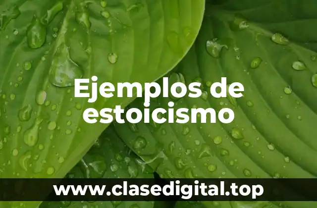 Ejemplos de estoicismo