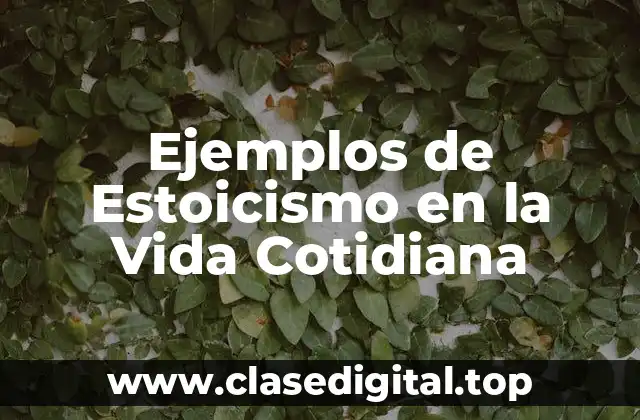 Ejemplos de Estoicismo en la Vida Cotidiana