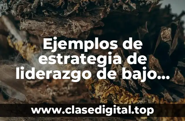 Ejemplos de estrategia de liderazgo de bajo costo