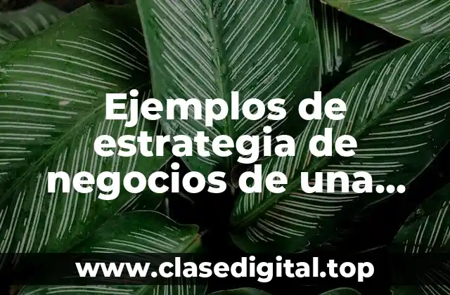 Ejemplos de estrategia de negocios de una empresa