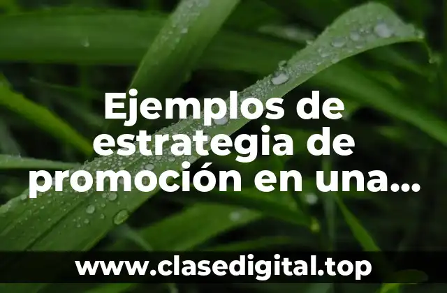Ejemplos de estrategia de promoción en una empresa
