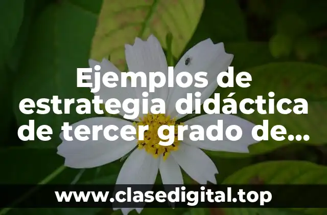 Ejemplos de estrategia didáctica de tercer grado de primaria y Significado