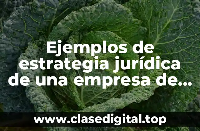 Ejemplos de estrategia jurídica de una empresa de comida