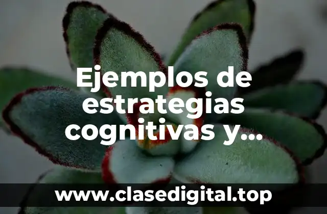 Ejemplos de estrategias cognitivas y metacognitivas