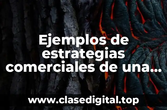 Ejemplos de estrategias comerciales de una empresa