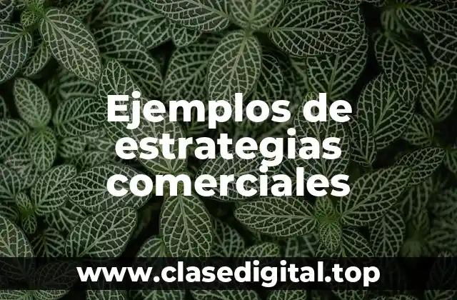 Ejemplos de estrategias comerciales