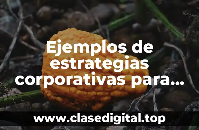 Ejemplos de estrategias corporativas para una empresa