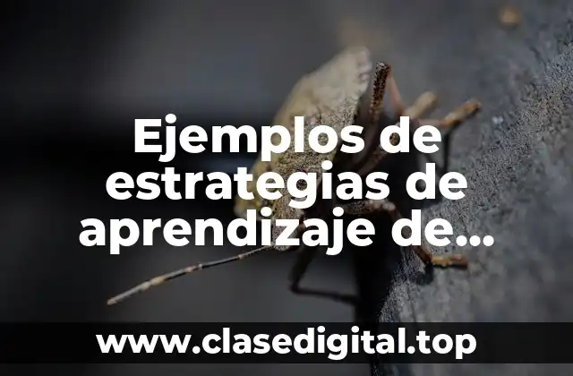 Ejemplos de estrategias de aprendizaje de elaboración en el aula