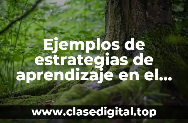 Ejemplos de estrategias de aprendizaje en el ámbito desarrollo humano