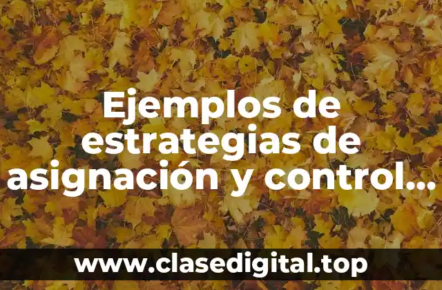 Ejemplos de estrategias de asignación y control de recursos