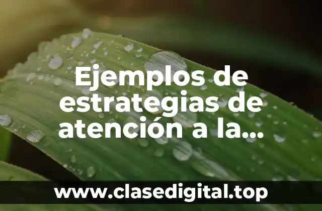 Ejemplos de estrategias de atención a la diversidad