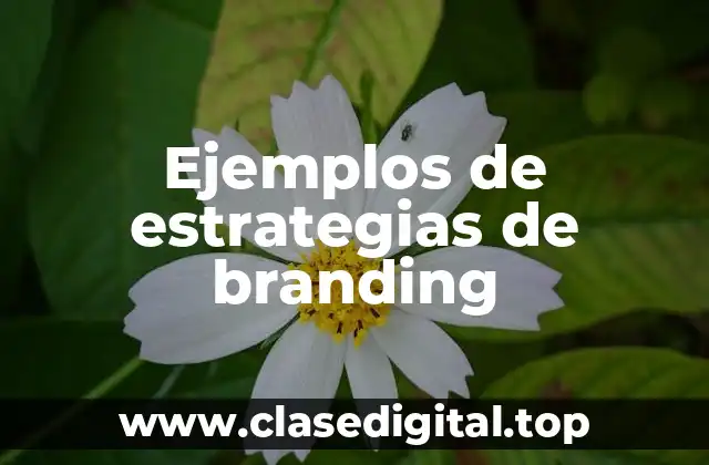 Ejemplos de estrategias de branding
