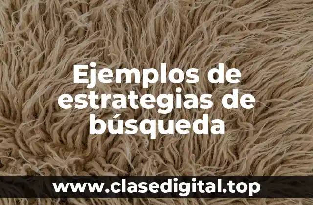 Ejemplos de estrategias de búsqueda