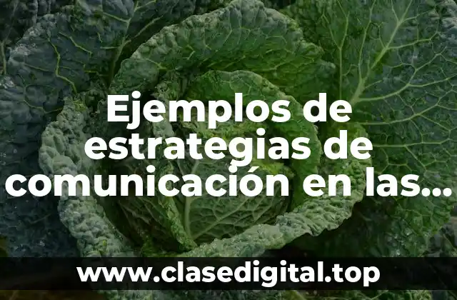 Ejemplos de estrategias de comunicación en las empresas familiares