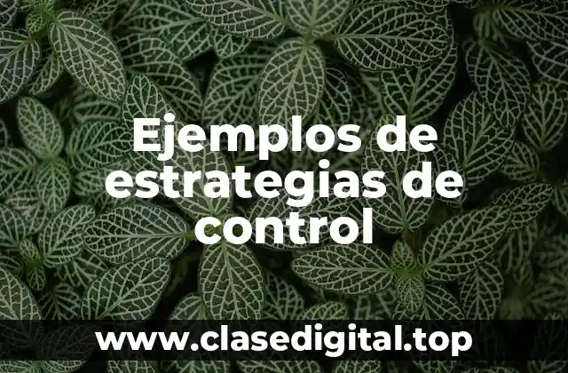 Ejemplos de estrategias de control