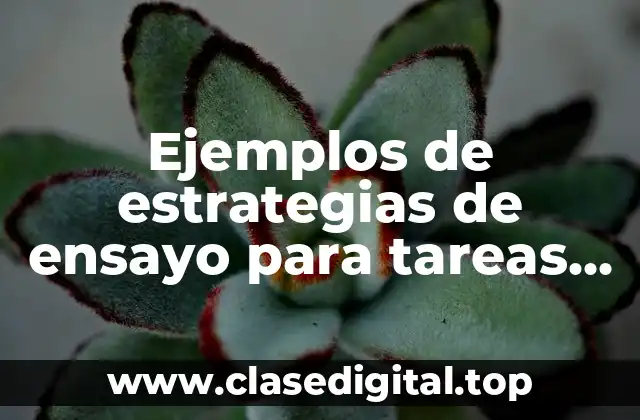 Ejemplos de estrategias de ensayo para tareas básicas de aprendizaje y Significado