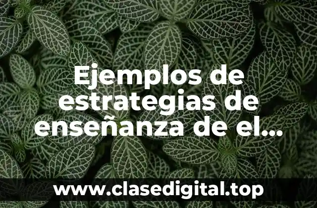 Ejemplos de estrategias de enseñanza de el modulo de argumentación