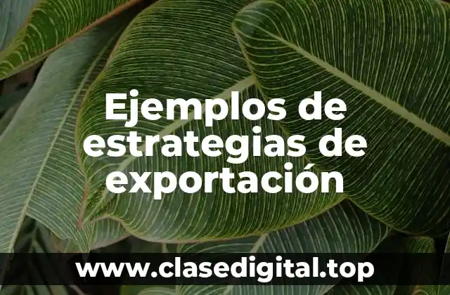 Ejemplos de estrategias de exportación