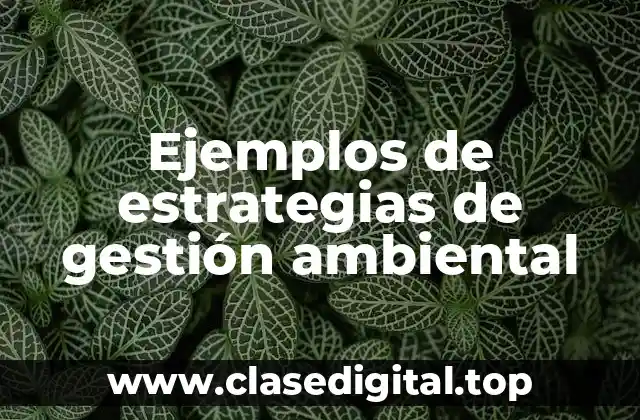 Ejemplos de estrategias de gestión ambiental