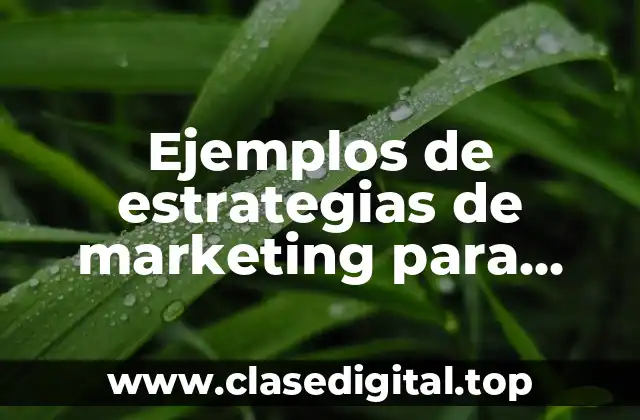 Ejemplos de estrategias de marketing para hoteles