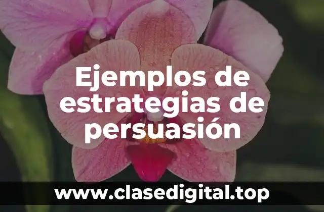 Ejemplos de estrategias de persuasión