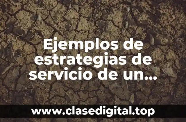 Ejemplos de estrategias de servicio de un producto