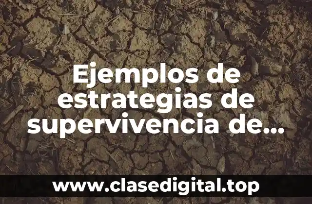Ejemplos de estrategias de supervivencia de una empresa