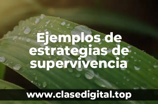 Ejemplos de estrategias de supervivencia