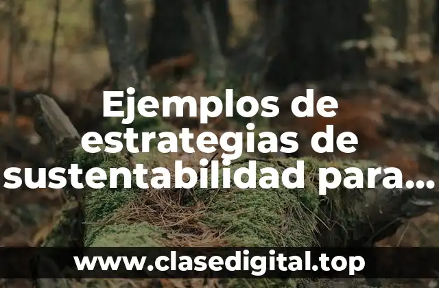 Ejemplos de estrategias de sustentabilidad para el escenario